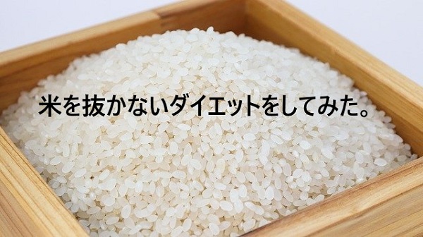 米を抜かないダイエットをしてみた。